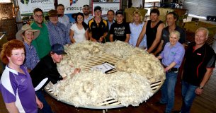 Discover Wool Works