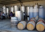 Learning about wine making at Merilba Estate.