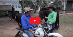 Watch the AGCAP Testimonial Videos